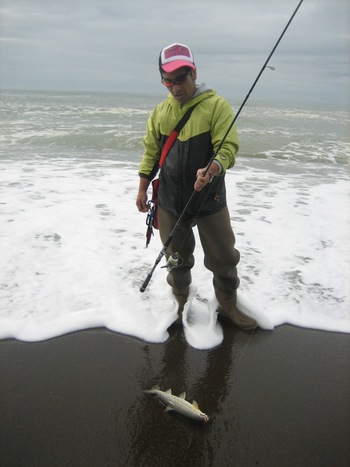 男の決断★海アメ釣行