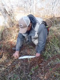 夢追い…　湿原釣行