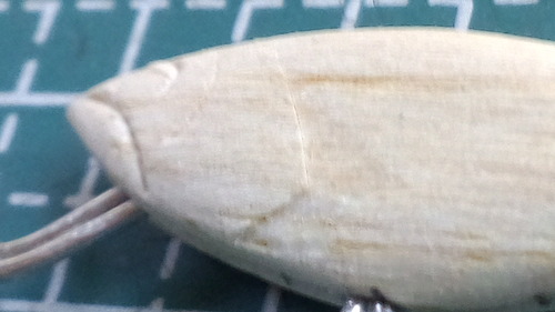 シャッドを作ろう！①