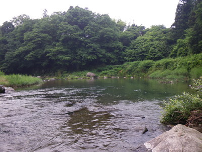 東京渓