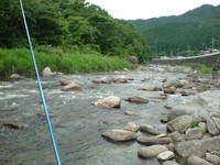 アユ釣り in 栃木