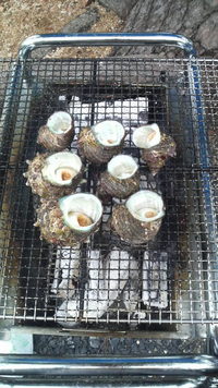 海水浴＆BBQ