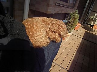 zzz