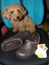 CROCS クロックバンド マンモス レザー