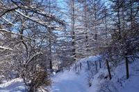 雪の三ツ峠へ