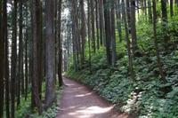 大岳山へ