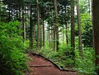 赤城の荒山高原へ