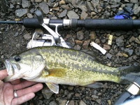 2006年9月6日の精進湖の釣果