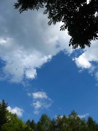 夏と秋の間かなぁ？ 2007/08/30 23:19:35