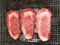 支笏湖オフ