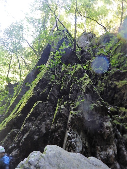 立合川(北山川支流)の第二ゴルジュ幻の大滝へ　沢登り