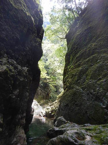 立合川(北山川支流)の第二ゴルジュ幻の大滝へ　沢登り