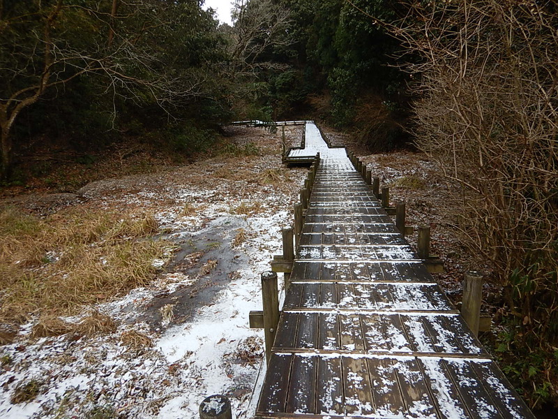 室池凍ってた♪2018-01-27