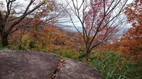 交野山　13　みはらしの道～石仏の道