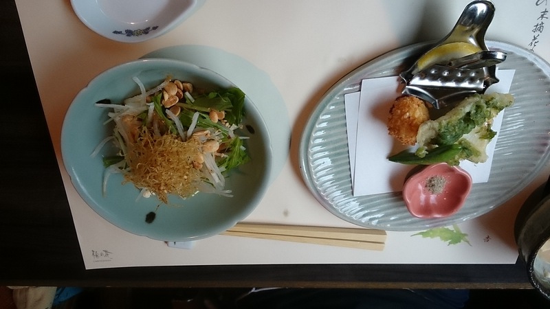 雨やし、あじさい園へ行ってきたし