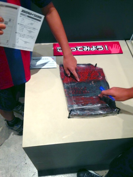 幕張メッセ　恐竜博・・^∀^