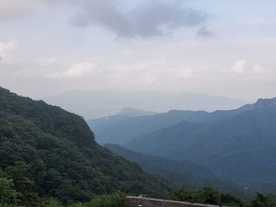 わらび平森林公園キャンプ場　2021.07.31～08.01