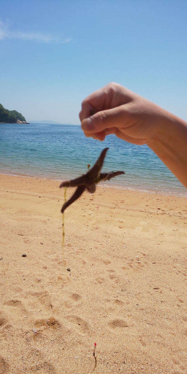 釣れない魚釣りに出掛けて…
