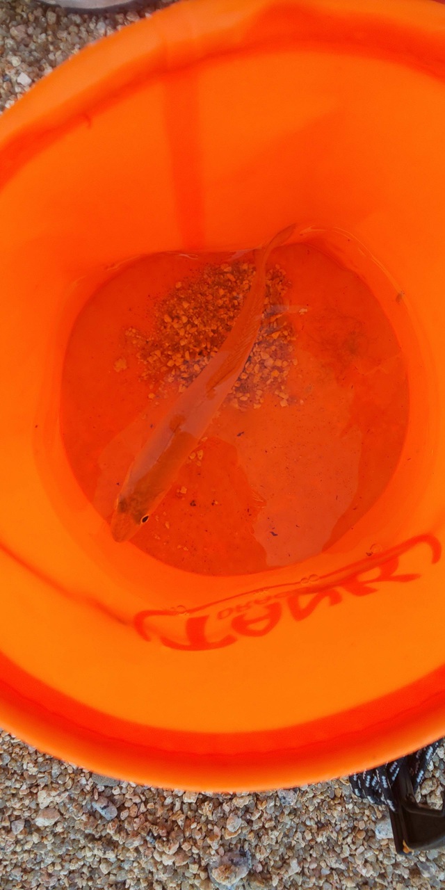 釣れない魚釣りに出掛けて…