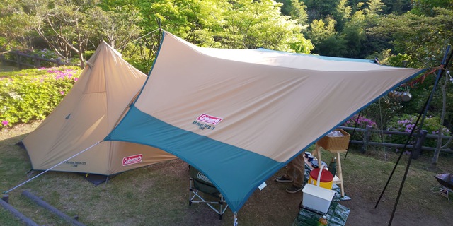 釣れない魚釣りに出掛けて…