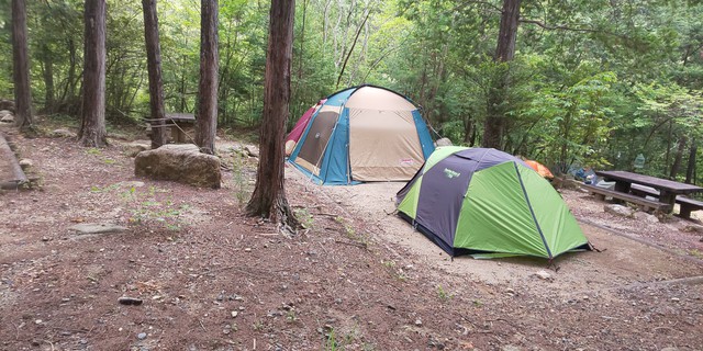 「林間学校・家族編」！さすが…山！