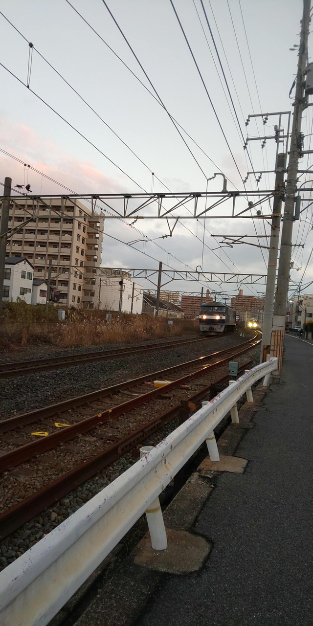 歩いてみる！