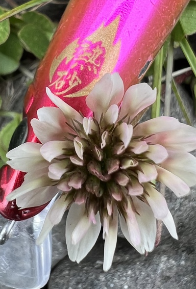 熱砂