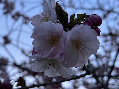 5月12日の記事