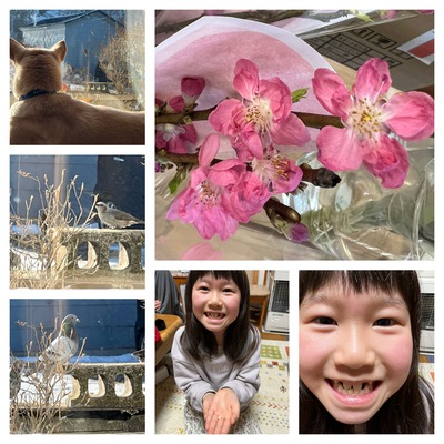今年も来たよ。