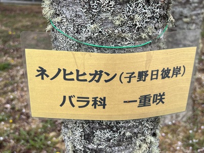 5月16日の記事