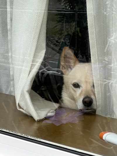 連休最終日