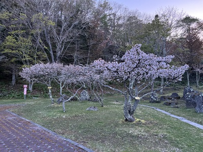 5月12日の記事