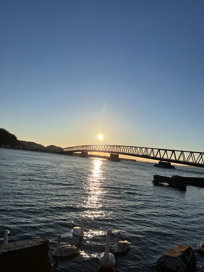 初日　◯