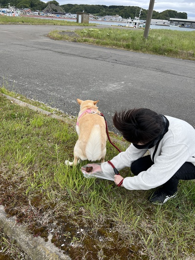 熱砂