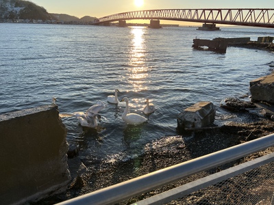 初日　◯