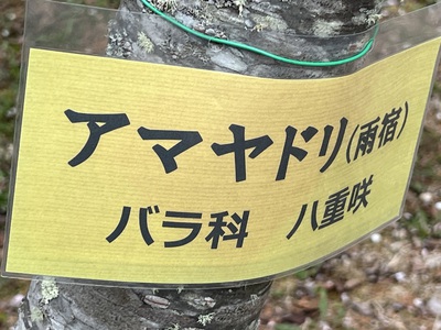 5月16日の記事