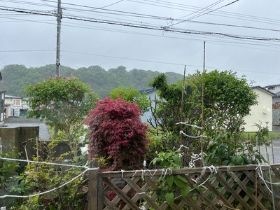 6月10日の記事