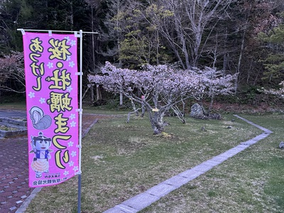 5月12日の記事