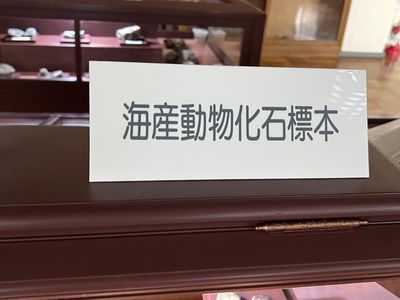 5月16日の記事