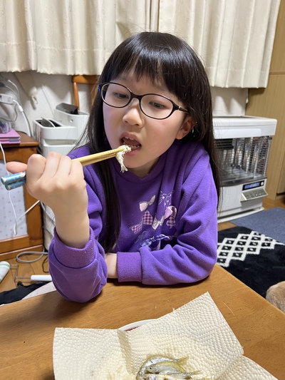 2月28日の記事