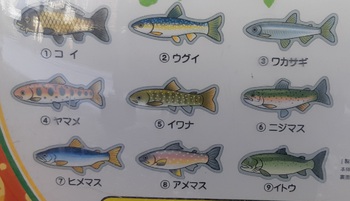 ５匹0匹2匹