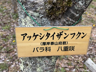 5月16日の記事