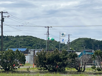 6月5日の記事