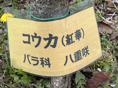 5月16日の記事