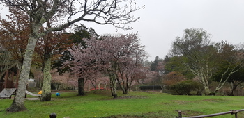 子野日公園