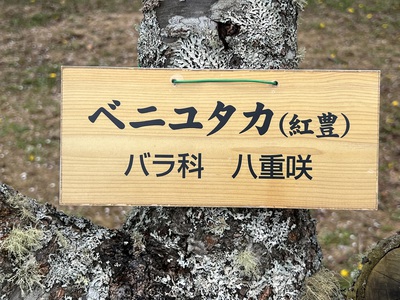 5月16日の記事