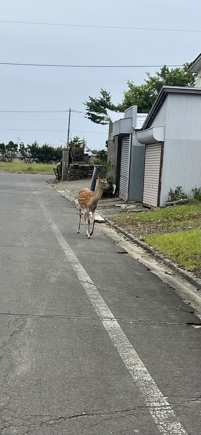 6月27日の記事