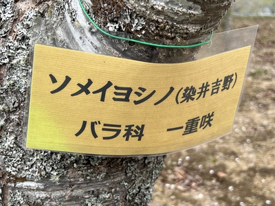 5月16日の記事