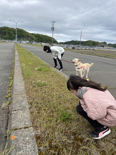 熱砂