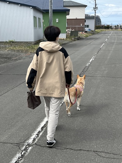 リベンジ